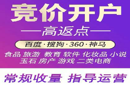 竞价广告的创意与执行：一则经典案例剖析